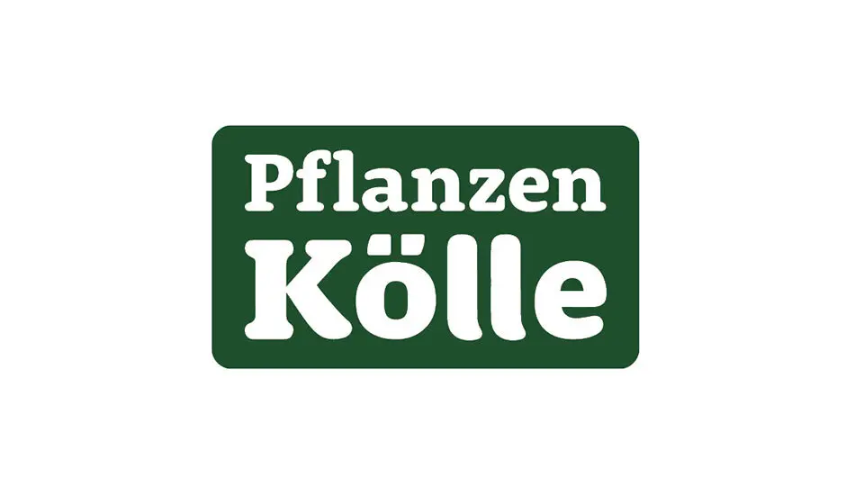 Logo Pflanzen Kölle